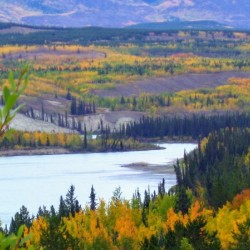 Ross River YT